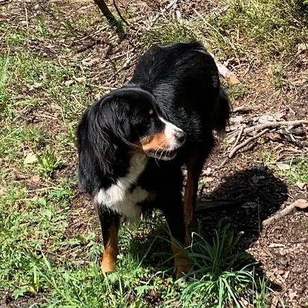 Tarahaus 아파트 *